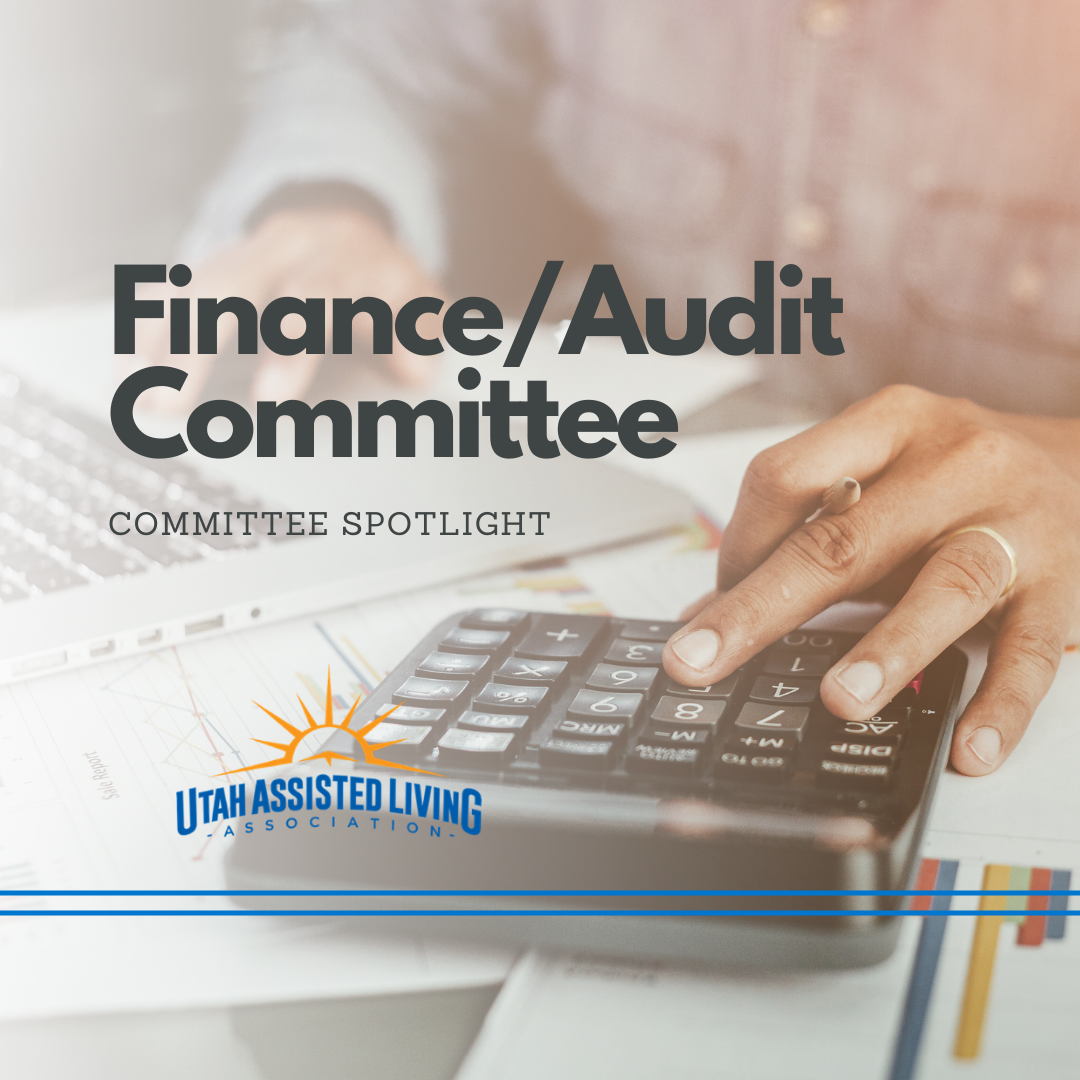 Finance And Audit