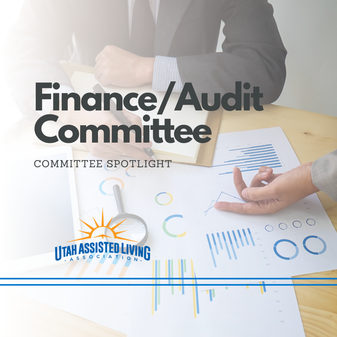 Finance And Audit